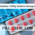 Jelly 100Mg Kamagra Jelly new14